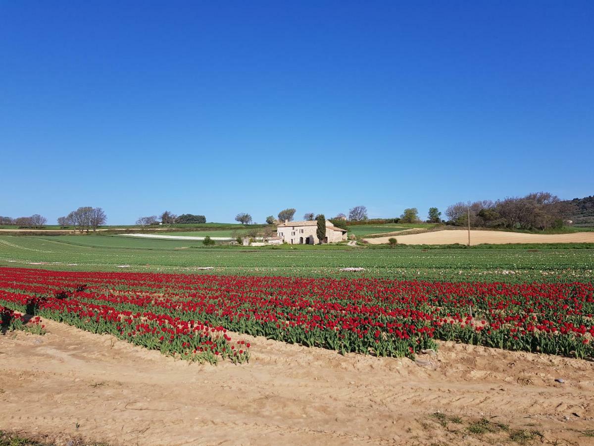 Villa Grange Voutee Avec Jardin Mane  Exterior foto